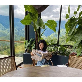 2 củ cây dáy voi