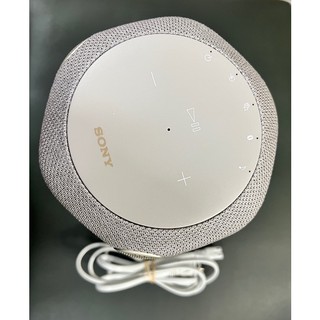 Loa Sony SRS-RA3000 - light grey