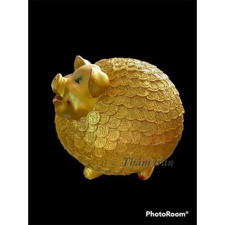 lợn đồng xu vàng mẫu tròn