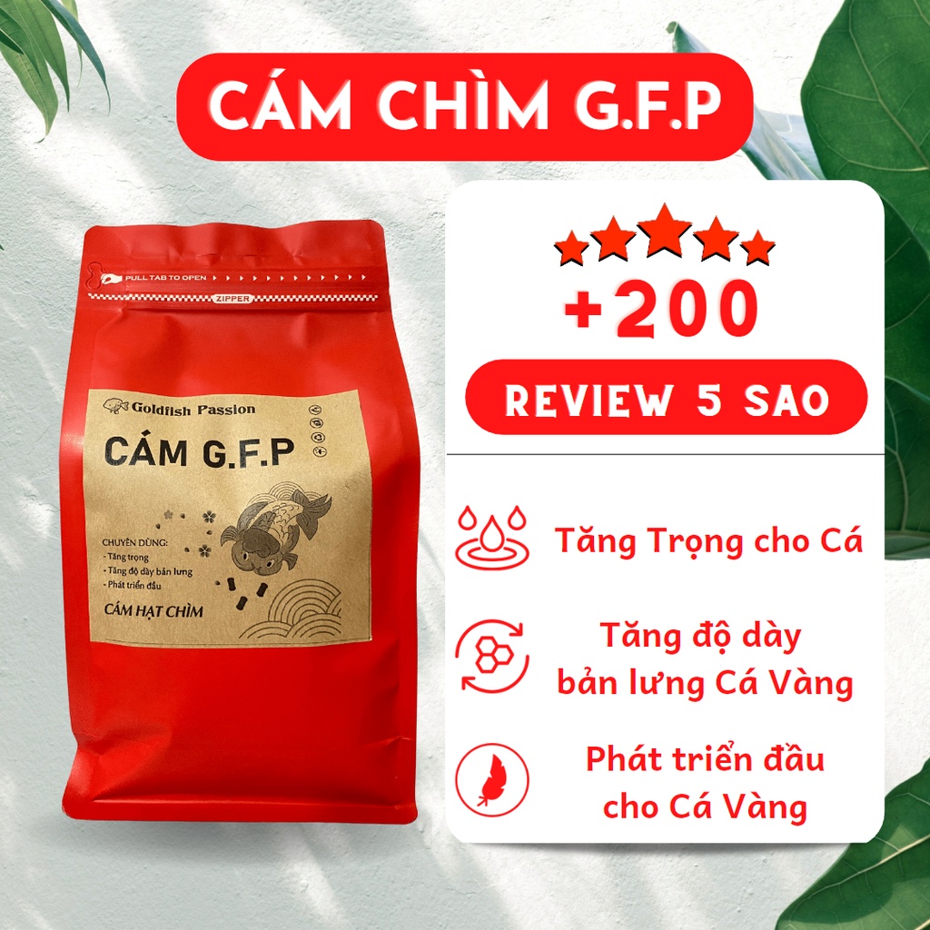 CÁM CHÌM GFP TỐT NHẤT DÀNH CHO CÁ VÀNG - SIÊU TĂNG TRỌNG, TĂNG ĐỘ DÀY BẢN LƯNG, PHÁT TRIỂN ĐẦU, THÚC ĐẨY TIÊU HÓA