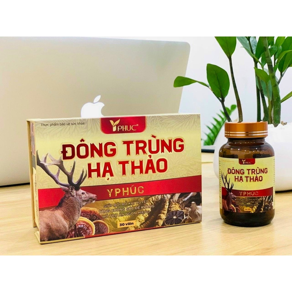 Đông Trùng Hạ Thảo Y Phúc - Giúp bồi bổ khí huyết, tăng cường sức đề kháng, hỗ trợ ăn ngon miệng (Hộp 30 Viên)