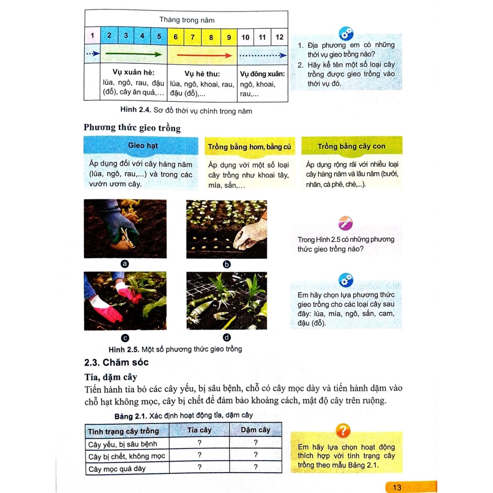 Sách - Công nghệ 7- Cánh diều