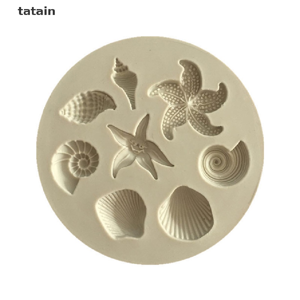 Khuôn Silicone Làm Bánh Hình Vỏ Sò Sinh Học [TAT]  Áo Thun In Chữ Cvxx Cvxx Cá Tính Hợp Thời Trang