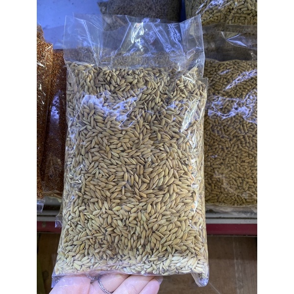 Lúa Thường Cho Chim - Gói 500g