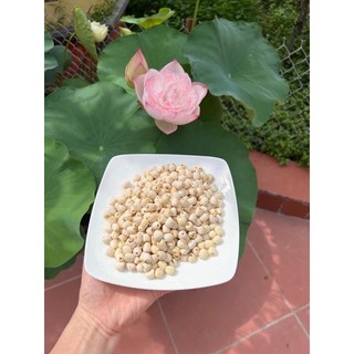 [SALE SOCK] Hạt sen khô 1kg