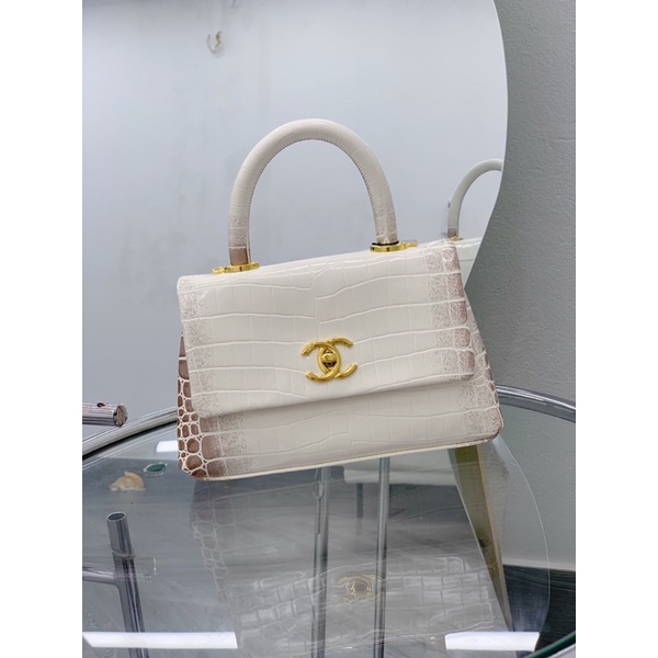 Cn coco bạch tạng khoá vàng