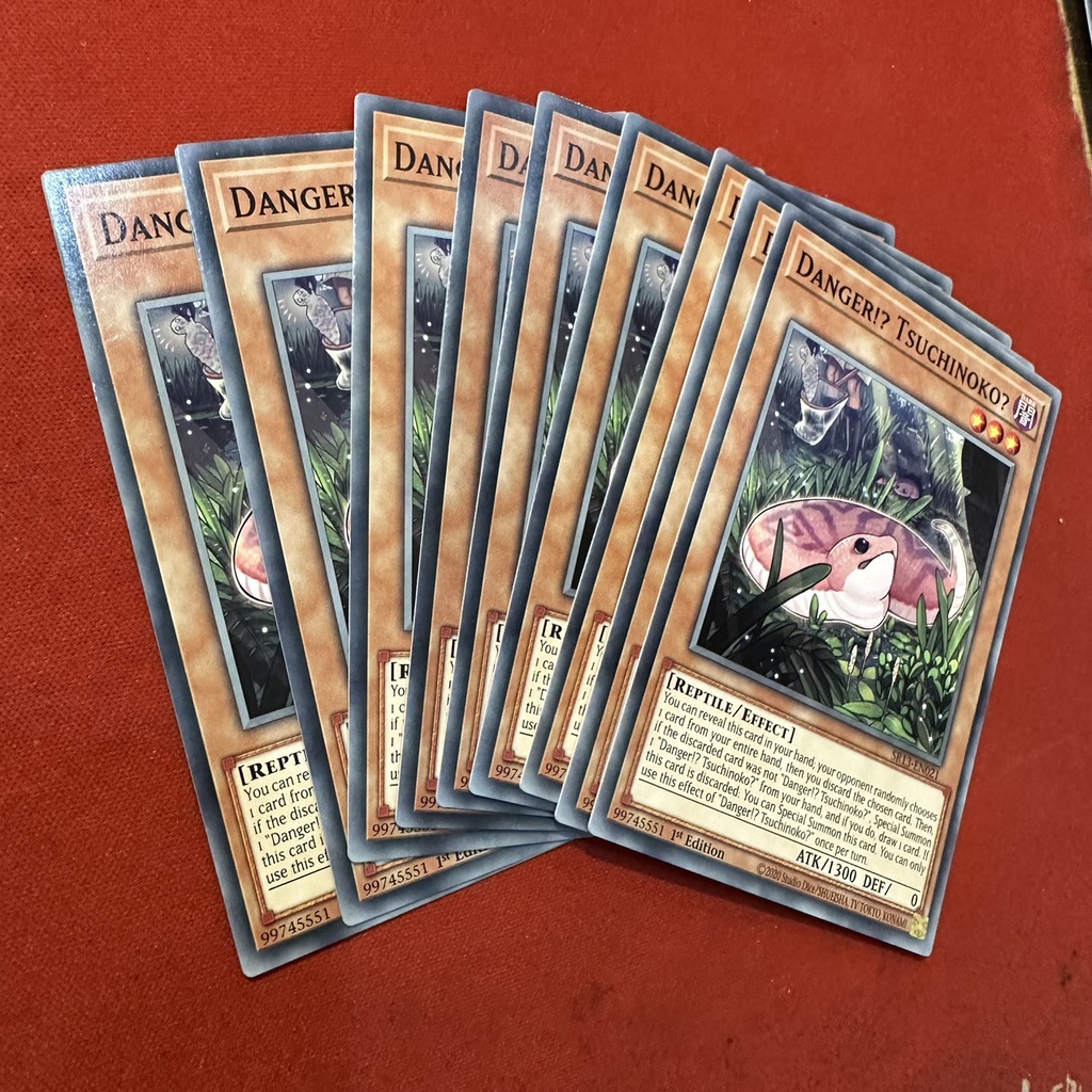 Danger!? Tsuchinoko?