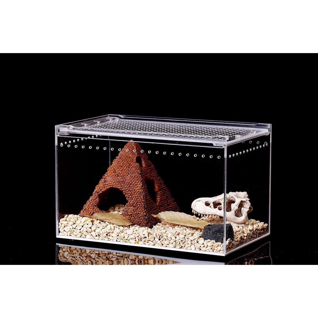 Hộp nuôi nhện/ bọ cạp/ rết kích thước 20x15x15cm...