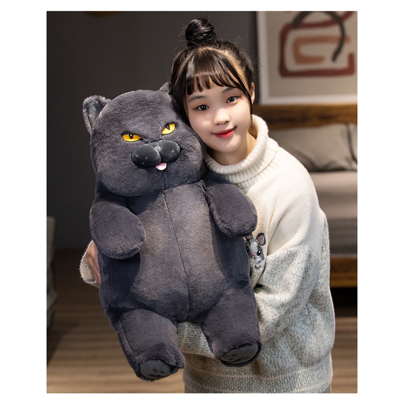 Thú Nhồi Bông Hình Chú Mèo Đen / Xanh / Chữ Tiếng Anh Trang Trí Nhà Cửa / Văn Phòng