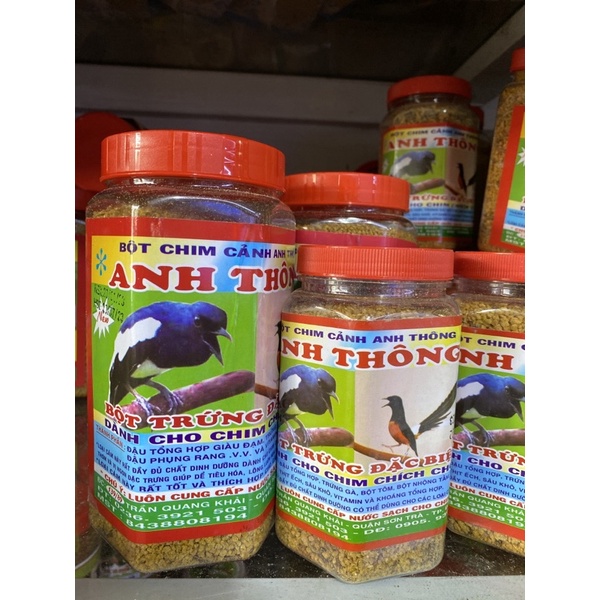 Cám Chích Choè Anh Thông