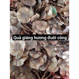 Giáng hương đuôi cong giống - 1kg