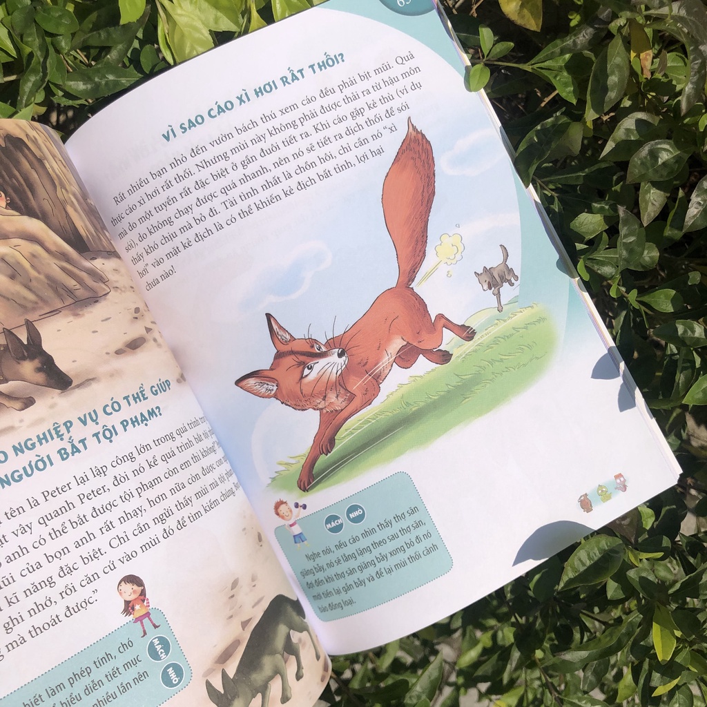 Sách: 10 Vạn Câu Hỏi Vì Sao - Động Vật Trên Cạn Và Dưới Nước