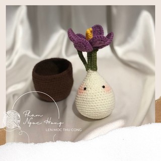 Củ hoa nghệ tây len, củ saffon len, len móc thủ công
