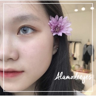 LENS xám đục K VÂN GIÃN NHẸ