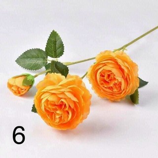 hoa trà 2 bông 1 nụ hàng đẹp.