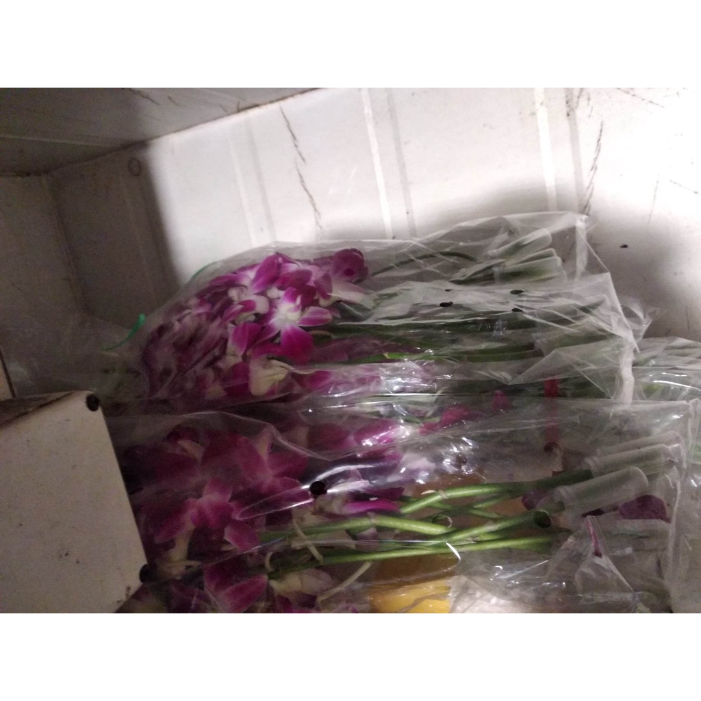 Hoa lan tươi decor trang trí đồ ăn uống