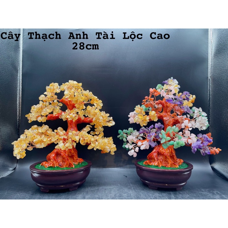 Vụn Đá Cây Tài Lộc Tự Nhiên Phong Thuỷ