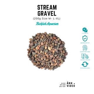 Sạn sỏi suối tự nhiên trải nền bể thuỷ sinh biotop (Freesize)