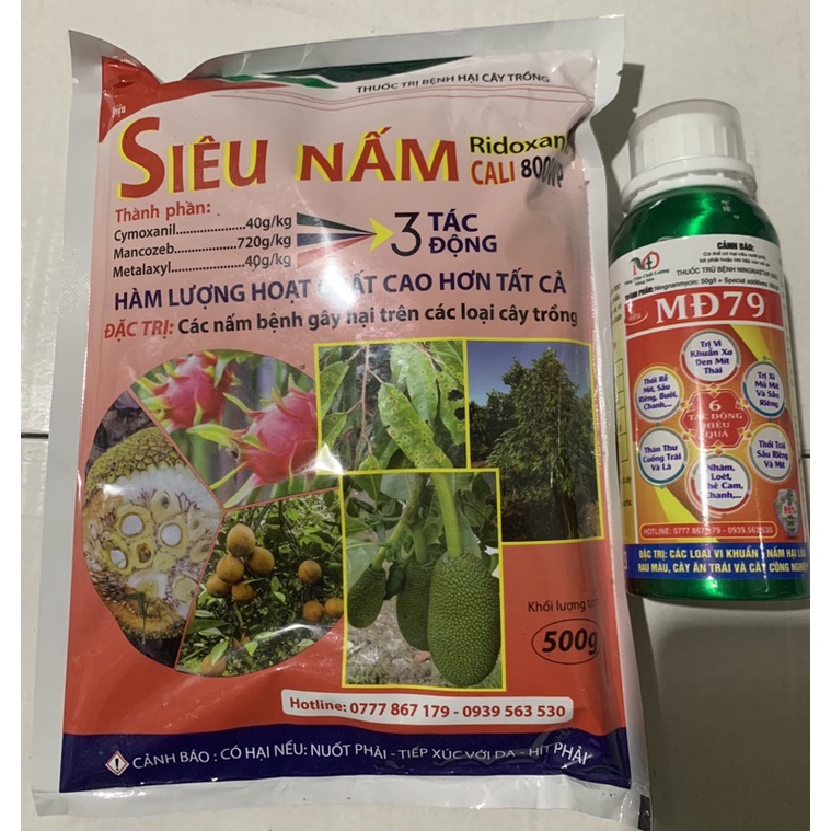 bộ đôi siêu nấm siêu khuẩn