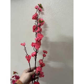 hoa a đào rẻ thanh lý