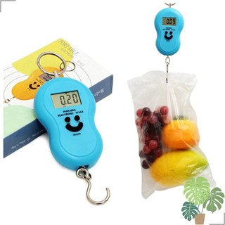 Cân điện tử cầm tay 0~50 kg - cân dùng pin