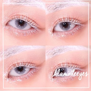 Lens xám sữa áp tròng [Có cận]