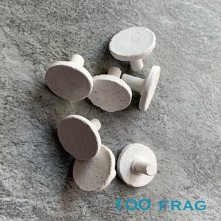 Đế Frag san hô