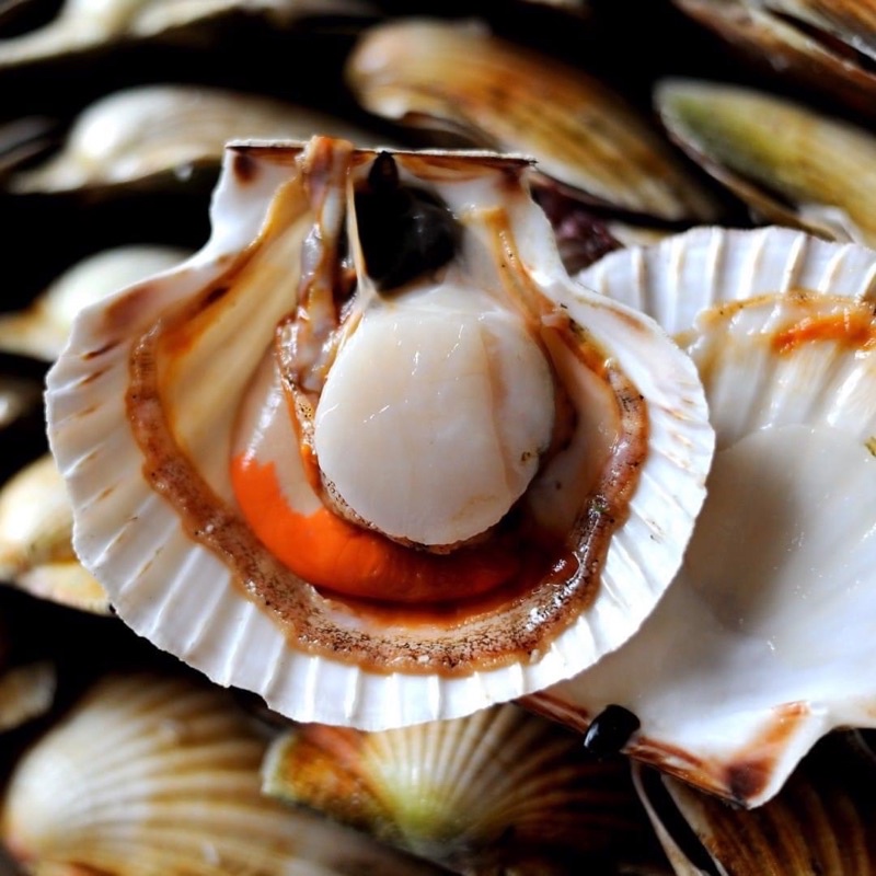 Sò Điệp Nhật Nửa Mảnh