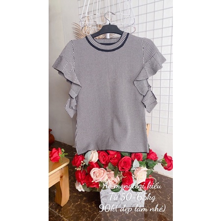 Áo mongtegi bigsize