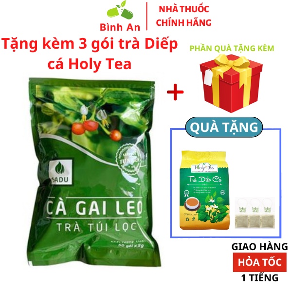 Trà cà gai leo túi lọc Sadu, 1 bịch trà cà gai leo Sadu 250g