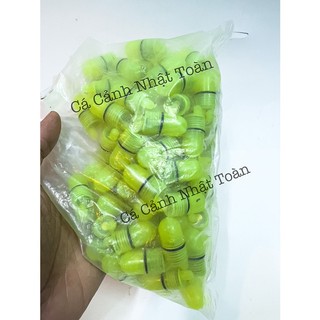 ĐÈN GẮN CHUÔNG BÁO CÁ CÂU CÁ CÂU ĐÊM