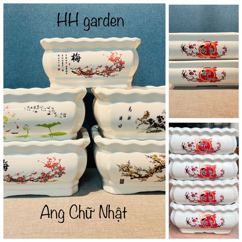 Chậu sứ trồng cây, ang chữ nhật trồng cây tiểu cảnh, quất mini, đào Tết