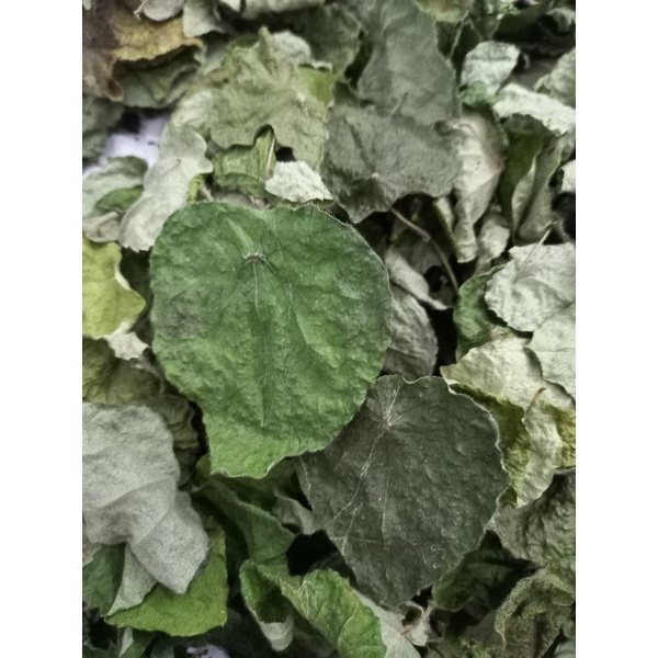 Lá sương sâm lông khô , 1kg , tặng nang mực, hút chân không
