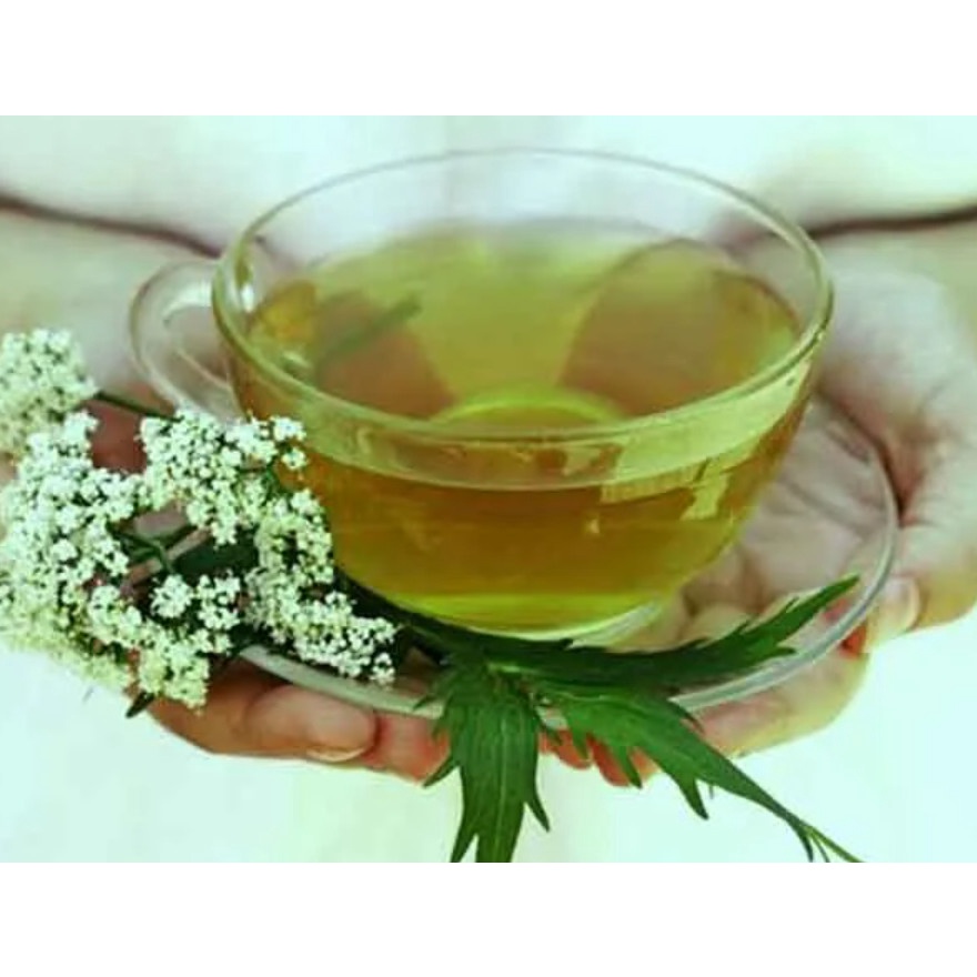 Cây ngải dại tươi, khô - cây mọc tự nhiên, phơi tay thơm ngon sạch sẽ loại 500g