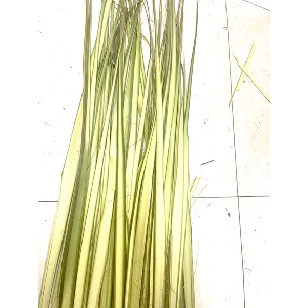 Lá Dừa Non Làm Thủ Công