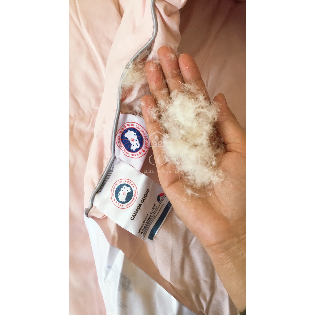 Chăn lông vũ Canada Goose Cao Cấp 2m x 2m3 Siêu Mềm Mịn Nhà Cô TấmC