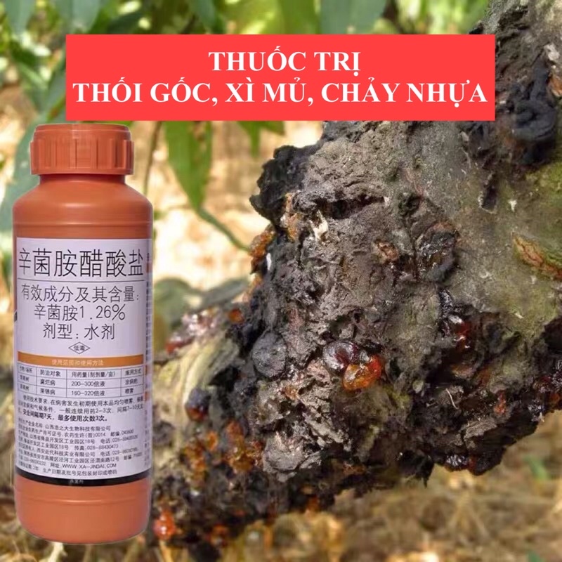 Thuốc trị thối gốc chảy nhựa, xì mủ chảy nhựa, xì gôm đào, táo, bưởi, cây có múi nội địa Trung 100ml