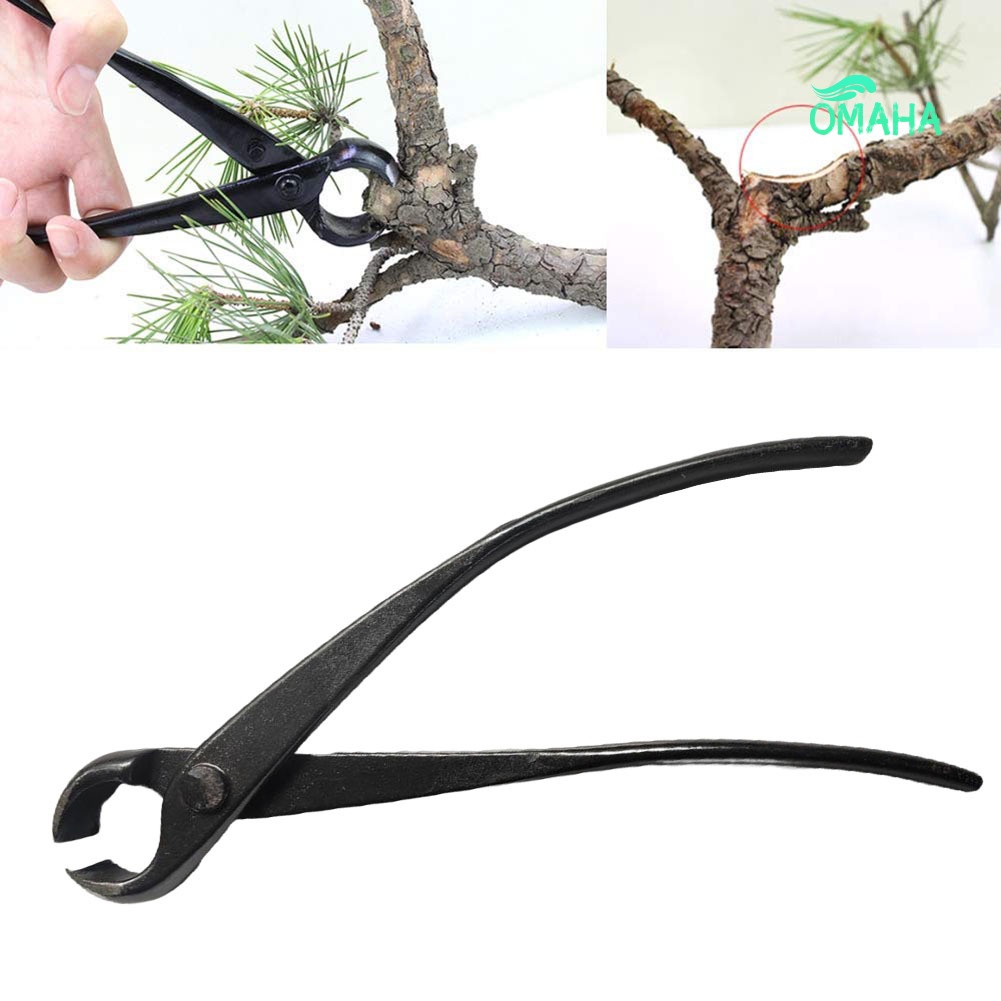 Kìm Cắt Tỉa Cành Cây Bonsai Hình Tròn Chuyên Nghiệp