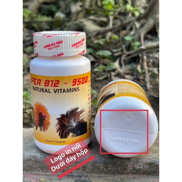 B12.9500 Gom bo tuần cuối hủ zin 100 viên tặng chai chích 5cc