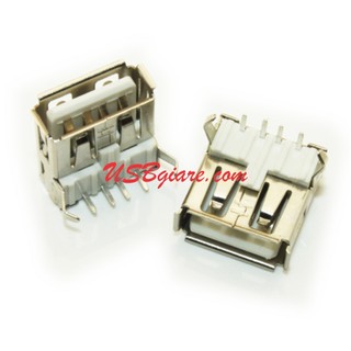 (5C) ĐẦU HÀN USB CÁI CHÂN CONG (UH01)