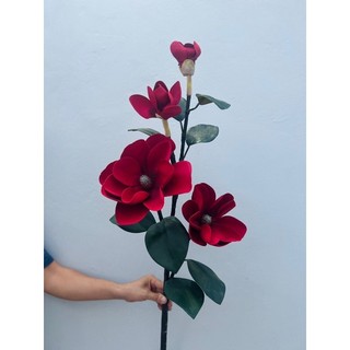 MỘC LAN ĐẠI 2 Nụ 2 Bông