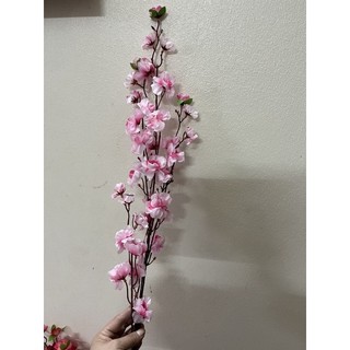 hoa a đào rẻ thanh lý