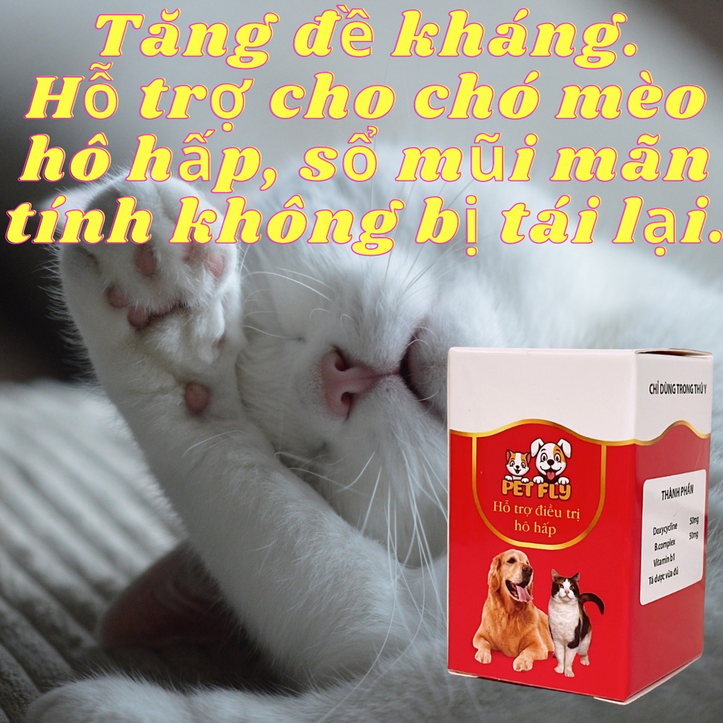 Tăng đề kháng. Hỗ trợ cho chó mèo hô hấp, sổ mũi mãn tính không bị tái lại.