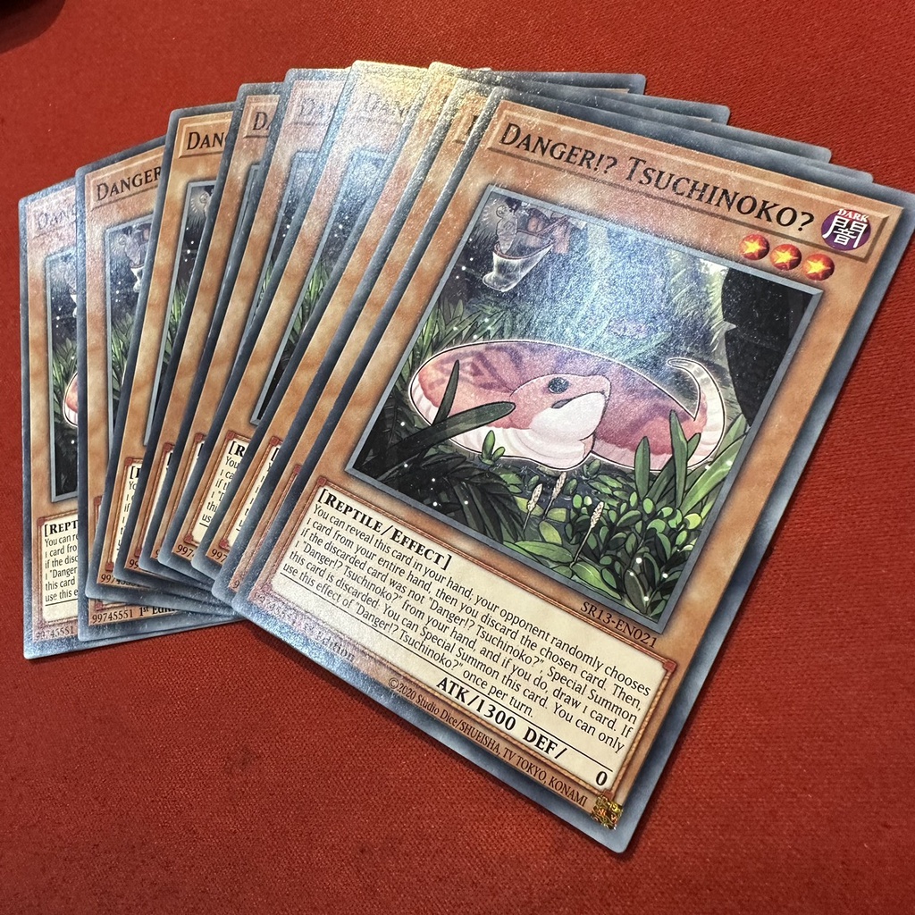 Danger!? Tsuchinoko?