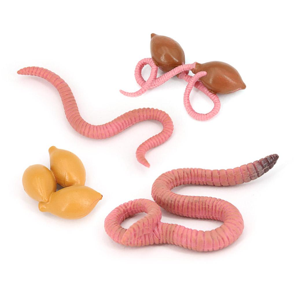 1 Bộ Mô Hình Trái Đất Bằng Nhựa Tinh Tế Vui Nhộn Cho Bé