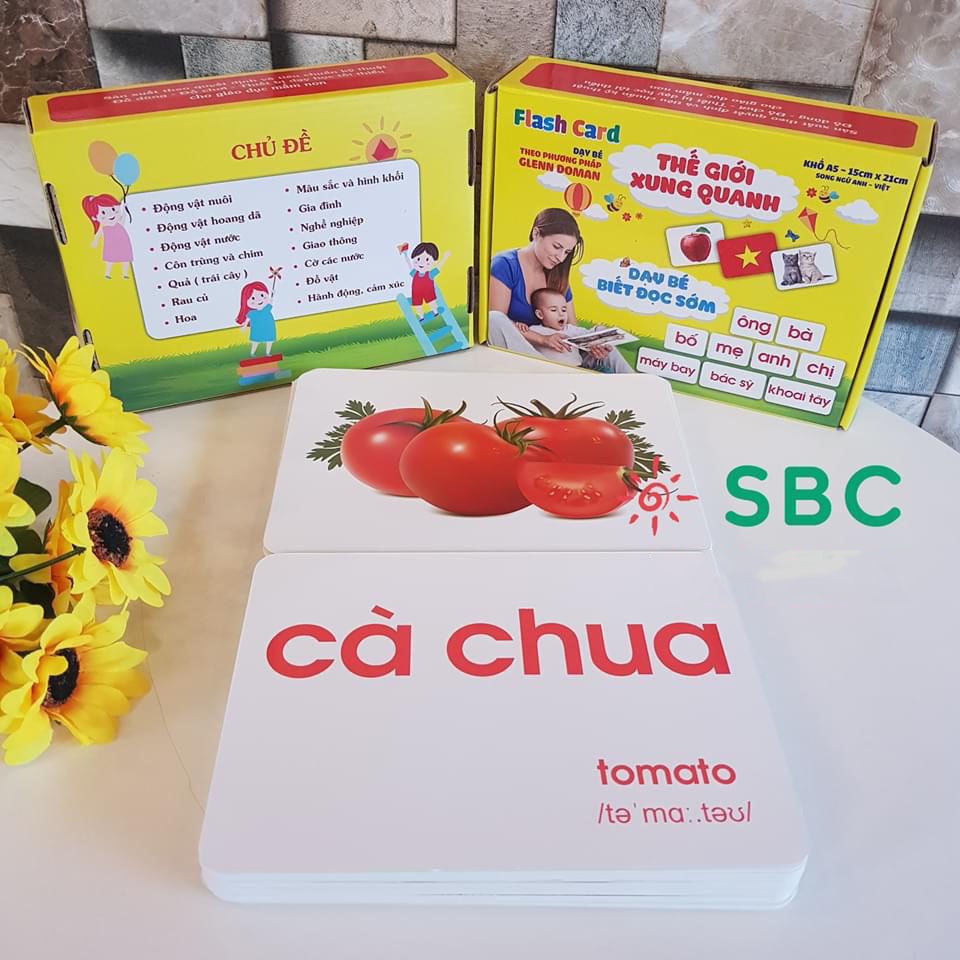 Thẻ Glenn Doman Dạy Trẻ Biết Đọc Sớm, Nhận Biết Thế Giới - Thẻ Flashcard Song Ngữ Kèm Hình Ảnh Khổ A5 - Orgavil