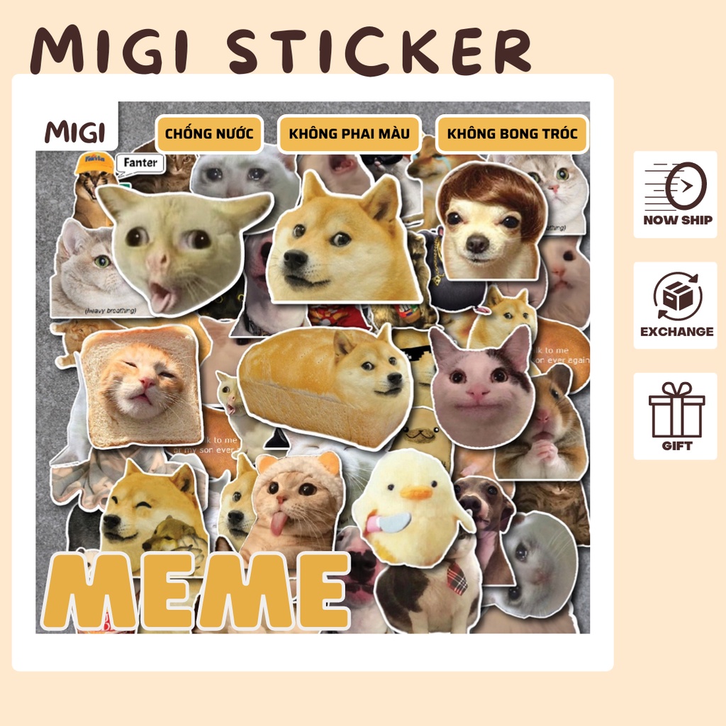 Cảm giác vui vẻ khi được sử dụng những sticker meme chống nước đáng yêu vô cùng thì không thể tả được! Chúng không chỉ giúp bạn trang trí chiếc điện thoại của mình, mà còn bảo vệ nó khỏi nước và bụi bẩn. Hãy xem hình ảnh về sticker meme chống nước để tìm hiểu thêm về những lợi ích của chúng!