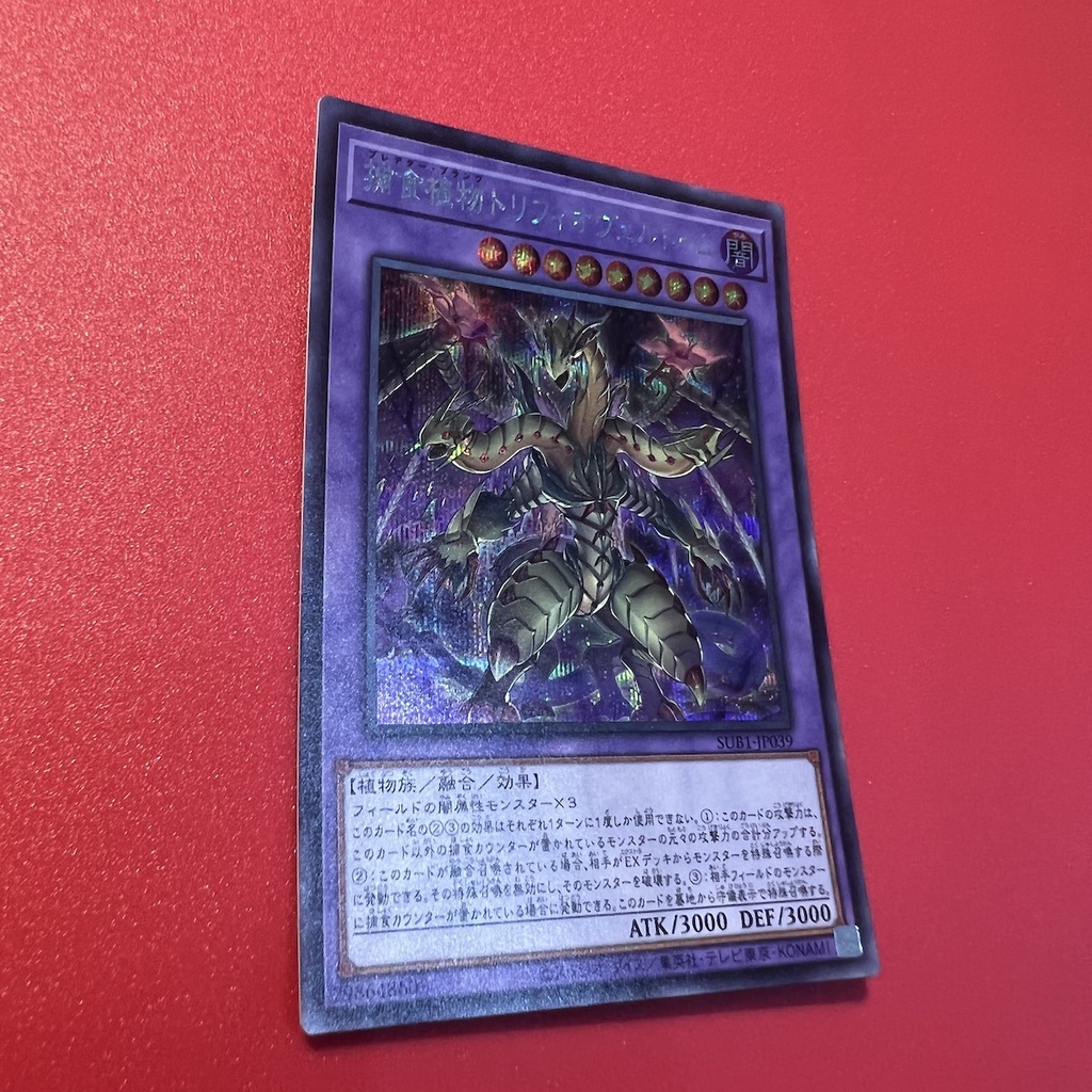 Predaplant Triphyoverutum