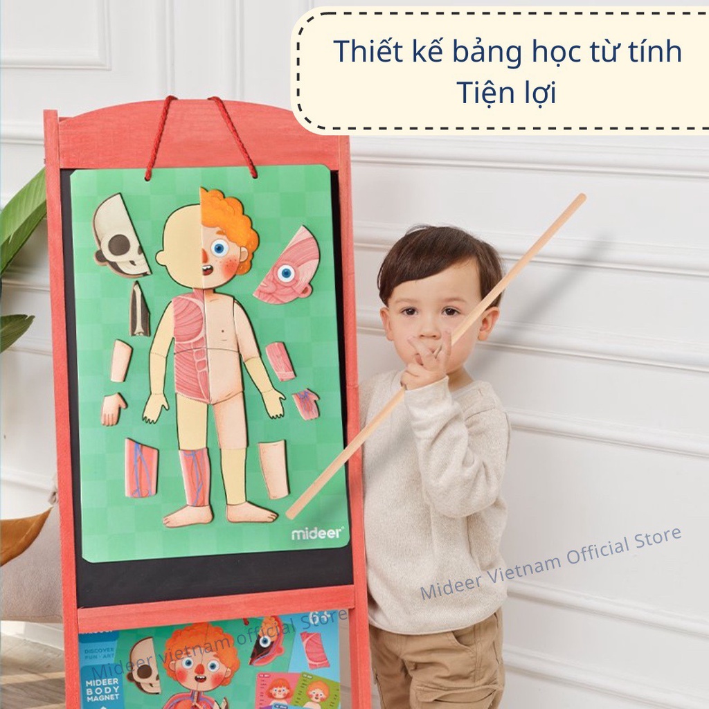 Đồ Chơi Xếp Hình Nam Châm Cơ Thể Mideer Human Body Magnetic Puzzle đồ chơi hướng nghiệp cho bé
