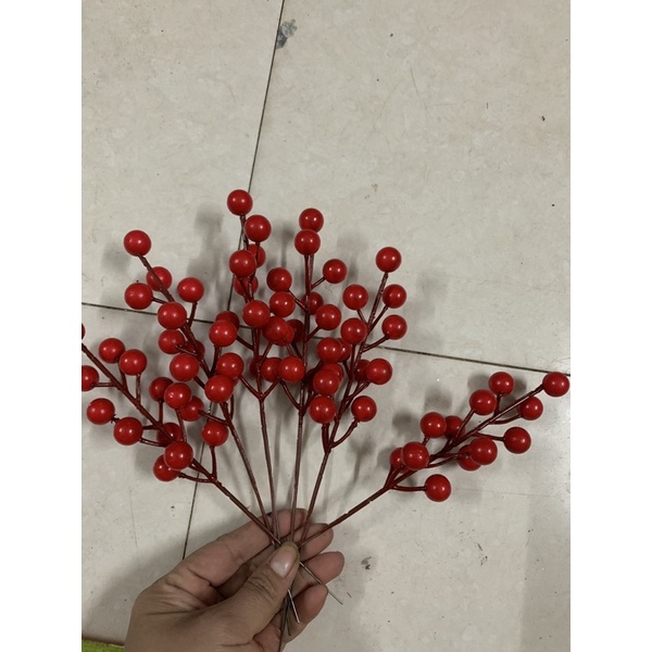 Nhánh đào đông nhỏ